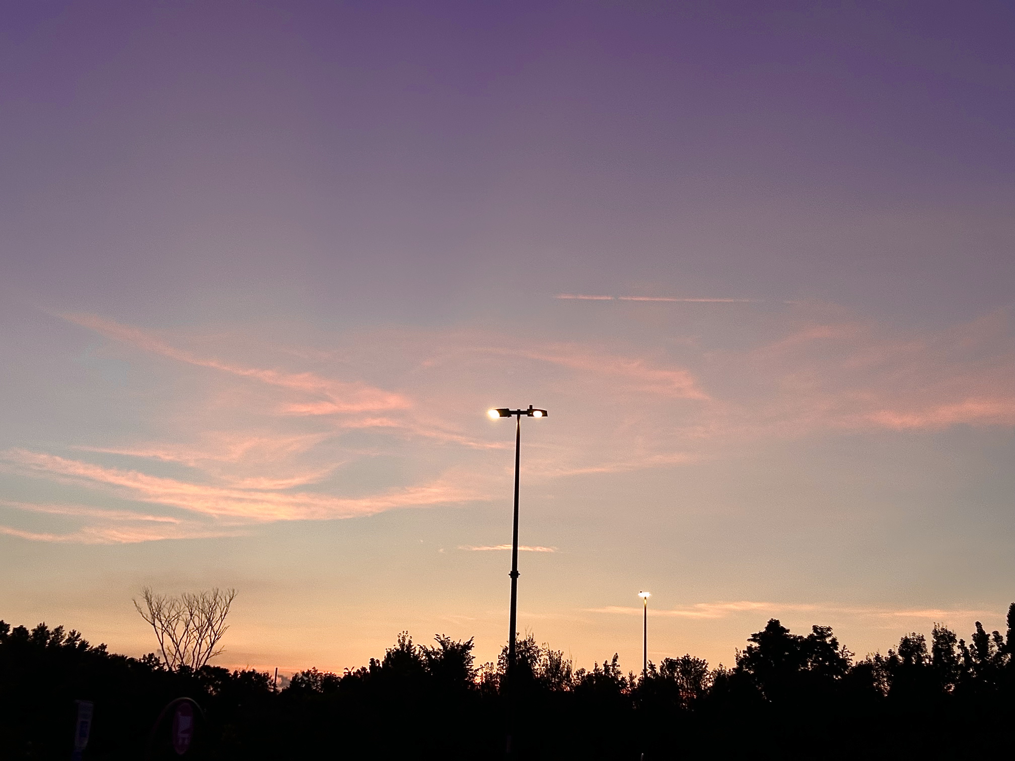 nature and landscape photo